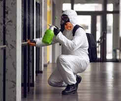 Why You Should Choose Our Mold Remediation Services in La Cygne, KS